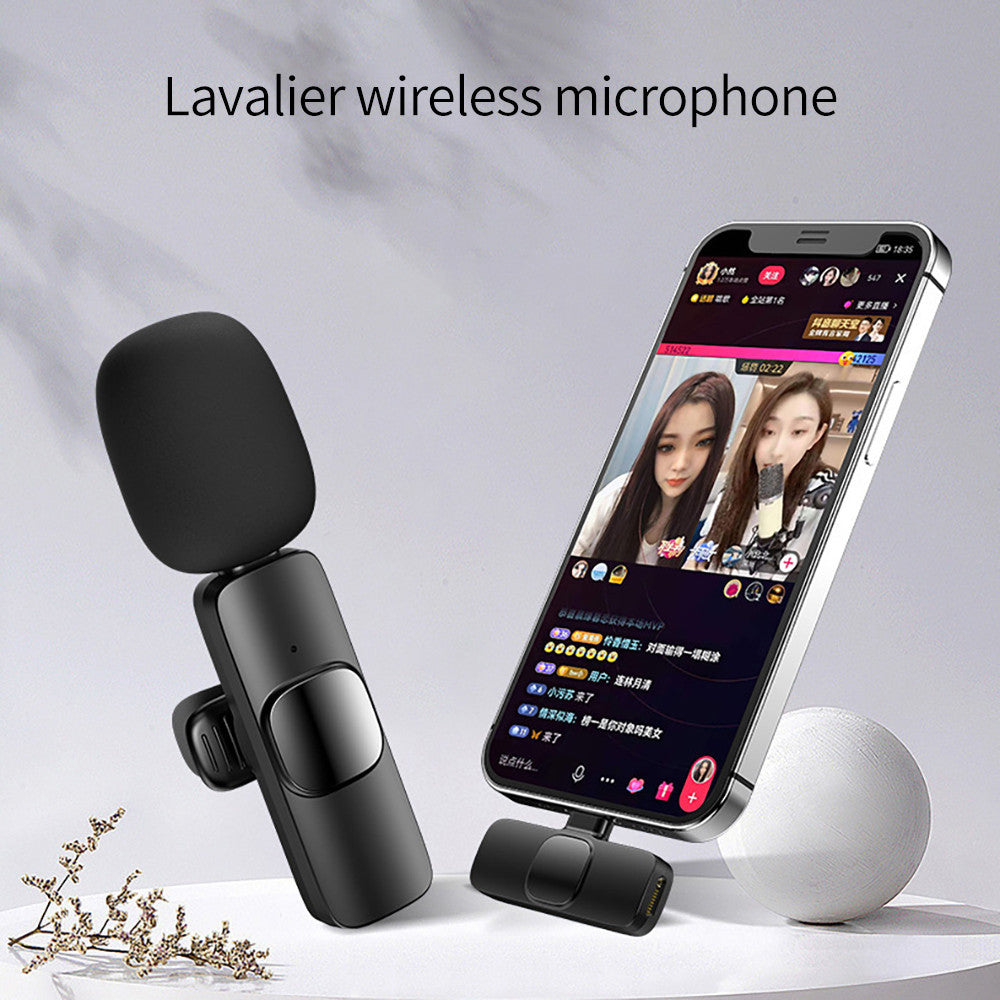 Wireless Mini microphone